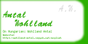 antal wohlland business card